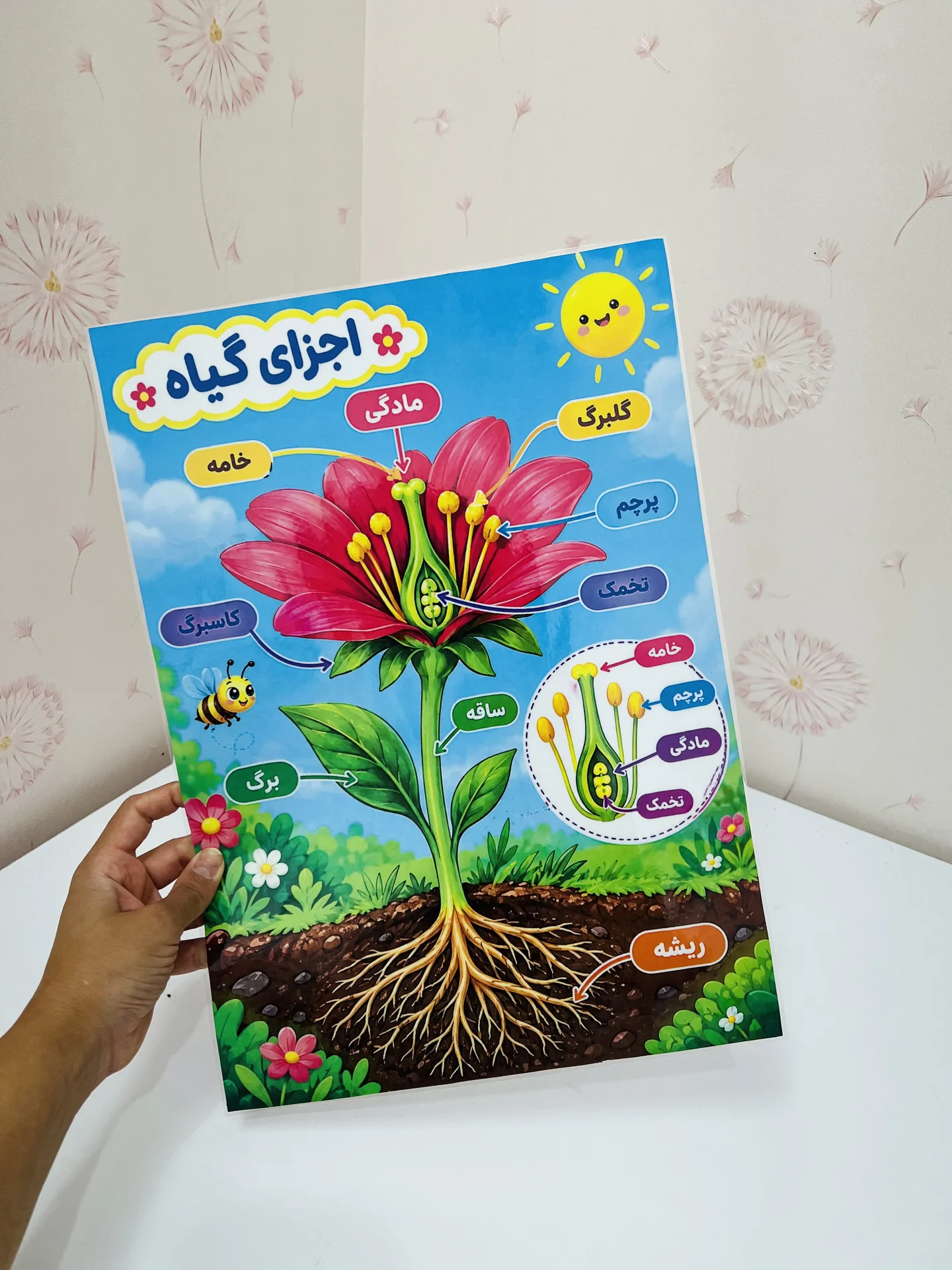 اجزای گیاهان