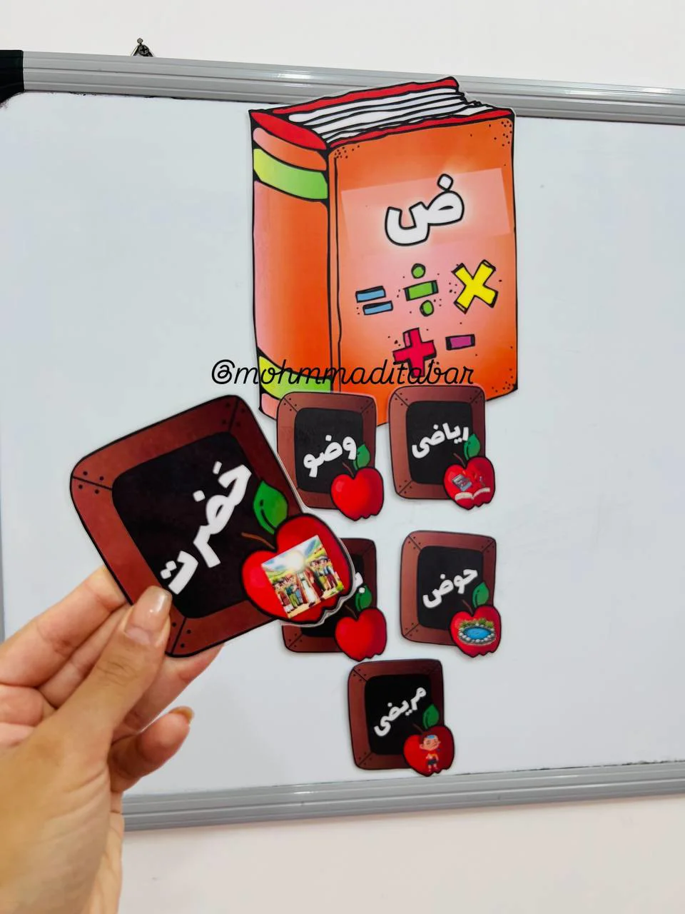 نشانه ی ض به همراه کلمات موردنظر